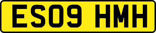 ES09HMH