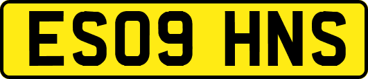 ES09HNS