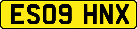 ES09HNX