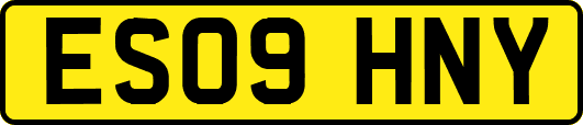 ES09HNY