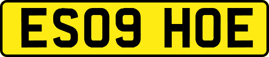 ES09HOE