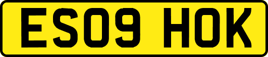 ES09HOK