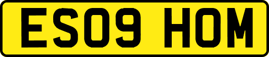 ES09HOM