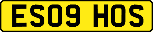 ES09HOS
