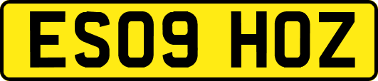 ES09HOZ