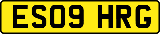 ES09HRG