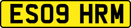 ES09HRM