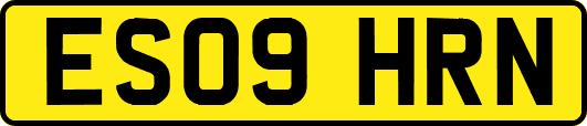ES09HRN
