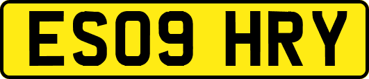 ES09HRY