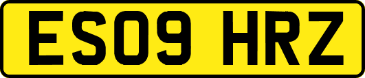ES09HRZ