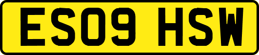 ES09HSW