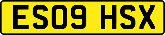 ES09HSX