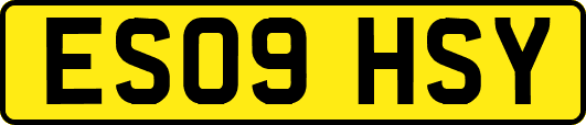 ES09HSY
