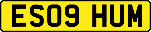 ES09HUM