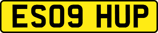 ES09HUP