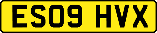 ES09HVX