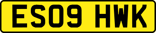 ES09HWK