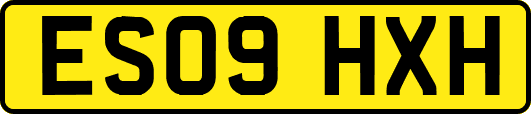 ES09HXH