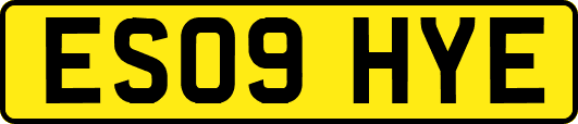 ES09HYE
