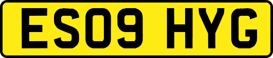 ES09HYG