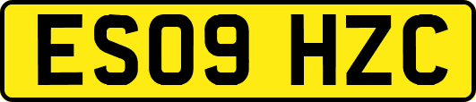 ES09HZC