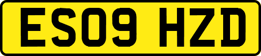 ES09HZD