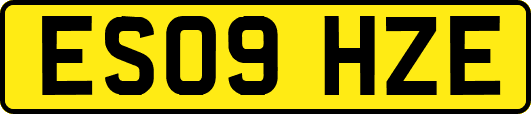 ES09HZE