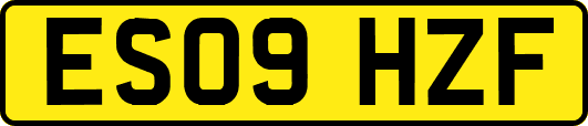 ES09HZF