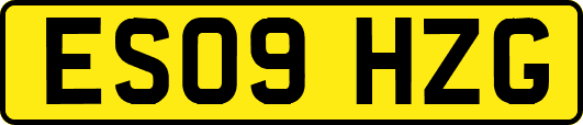 ES09HZG