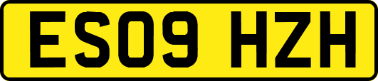 ES09HZH
