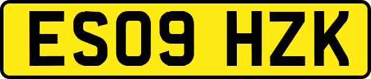 ES09HZK