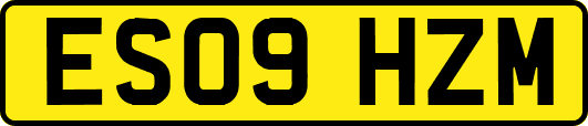 ES09HZM