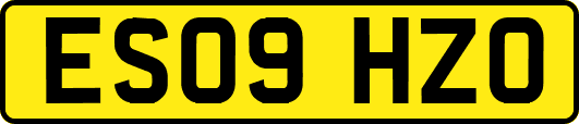 ES09HZO