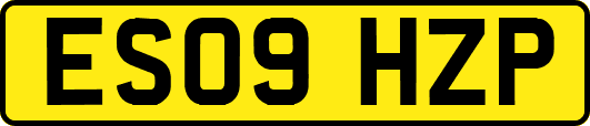 ES09HZP