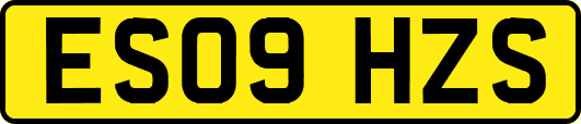 ES09HZS