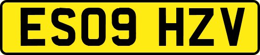 ES09HZV