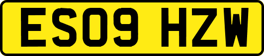 ES09HZW