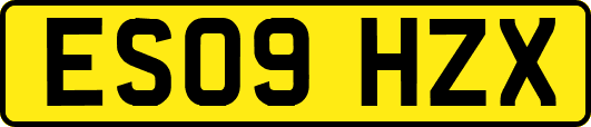 ES09HZX