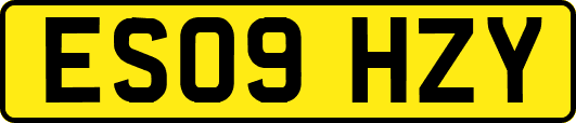 ES09HZY