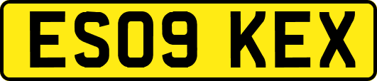 ES09KEX