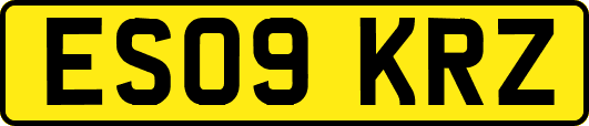 ES09KRZ