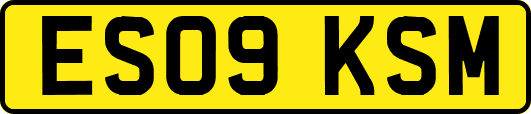 ES09KSM