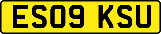 ES09KSU