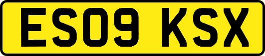 ES09KSX