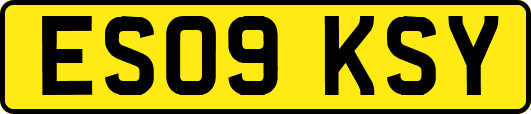 ES09KSY