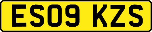 ES09KZS