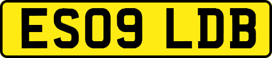 ES09LDB