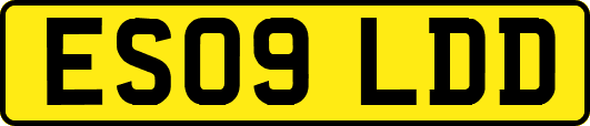ES09LDD