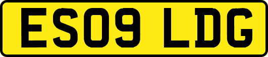 ES09LDG