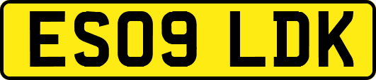 ES09LDK